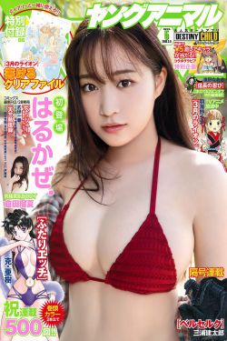 大过年